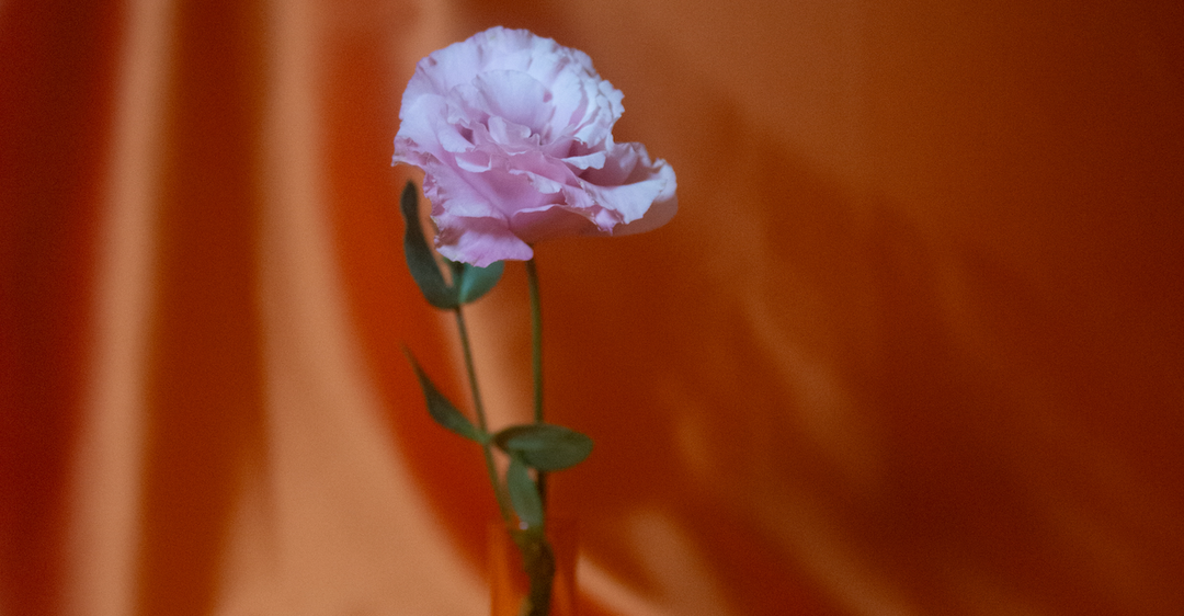 A purple flower
